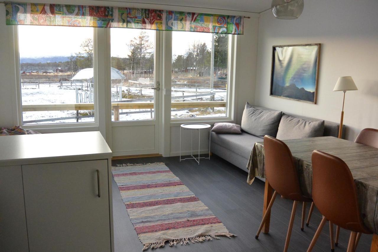Ofelas Islandshaestar & Guideservice Kiruna