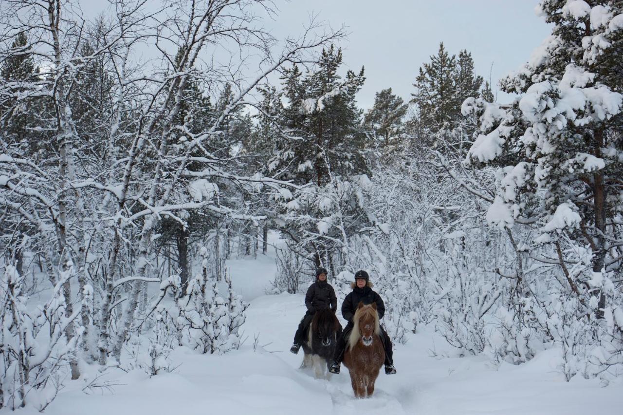 Ofelaš Islandshästar&guideservice Lantställe Kiruna