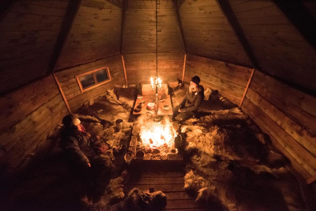 Ofelas Islandshaestar & Guideservice Kiruna