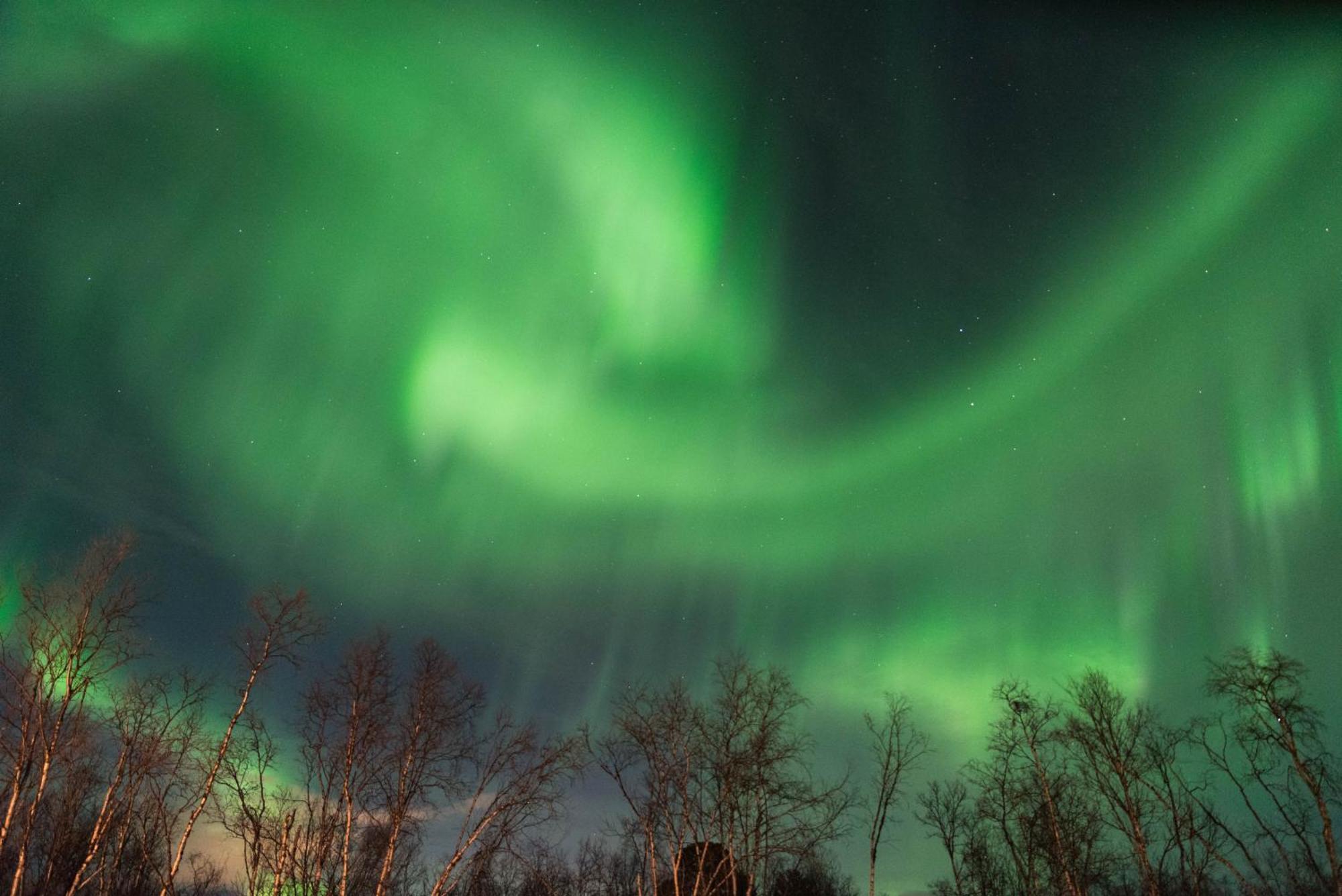 Ofelas Islandshaestar & Guideservice Country house Kiruna