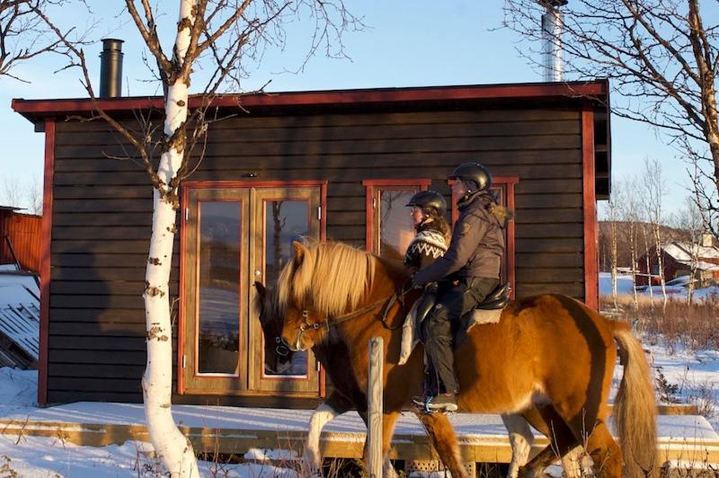 Ofelas Islandshaestar & Guideservice Country house Kiruna